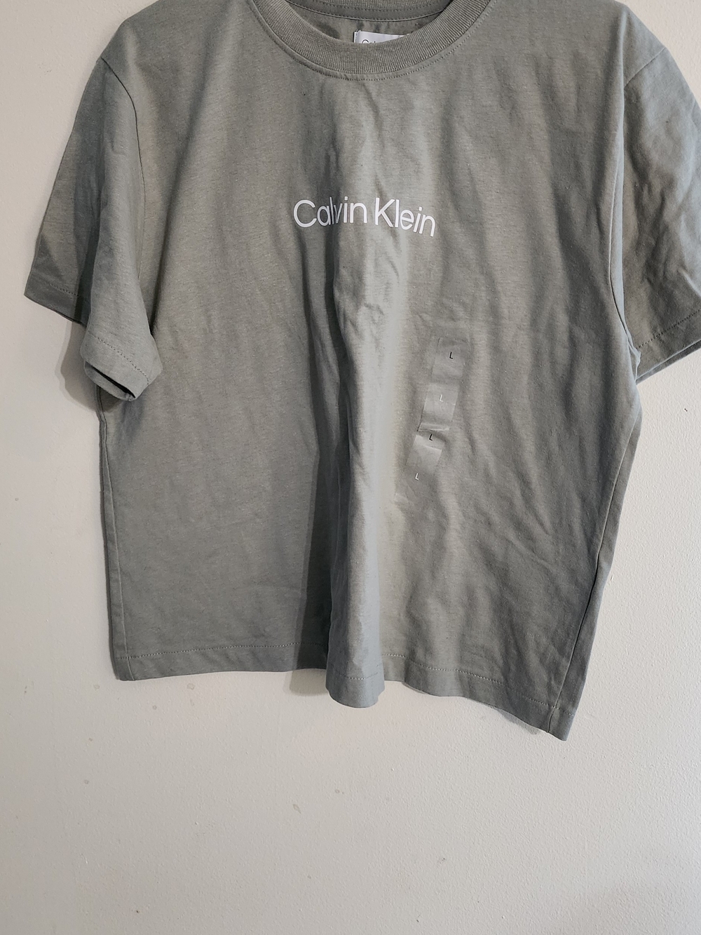 Calvin Klein Sage Green Logo Short Sleeve Cotton Tee Shirt Large NWT